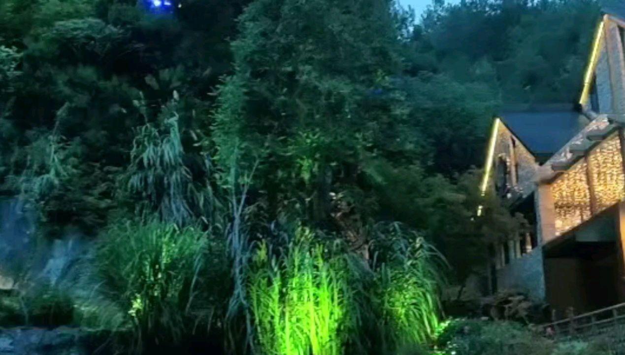 智慧问答网页-社保没钱的是怎么回事精选